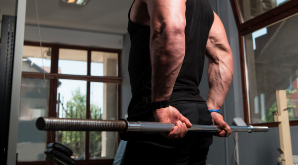 BIG Forearm Exercises For Bigger And Stronger Forearms